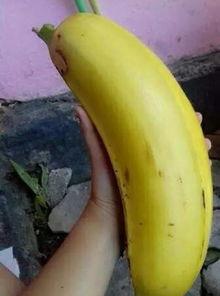 大香蕉精品综合,探索极致娱乐体验的奥秘