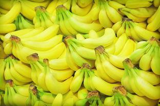 香蕉W视频,揭秘短视频时代的魅力与挑战